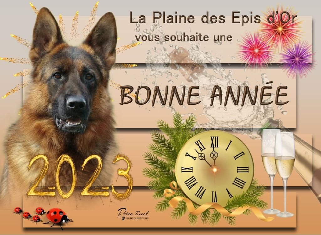 BONNE ANNÉE 2023